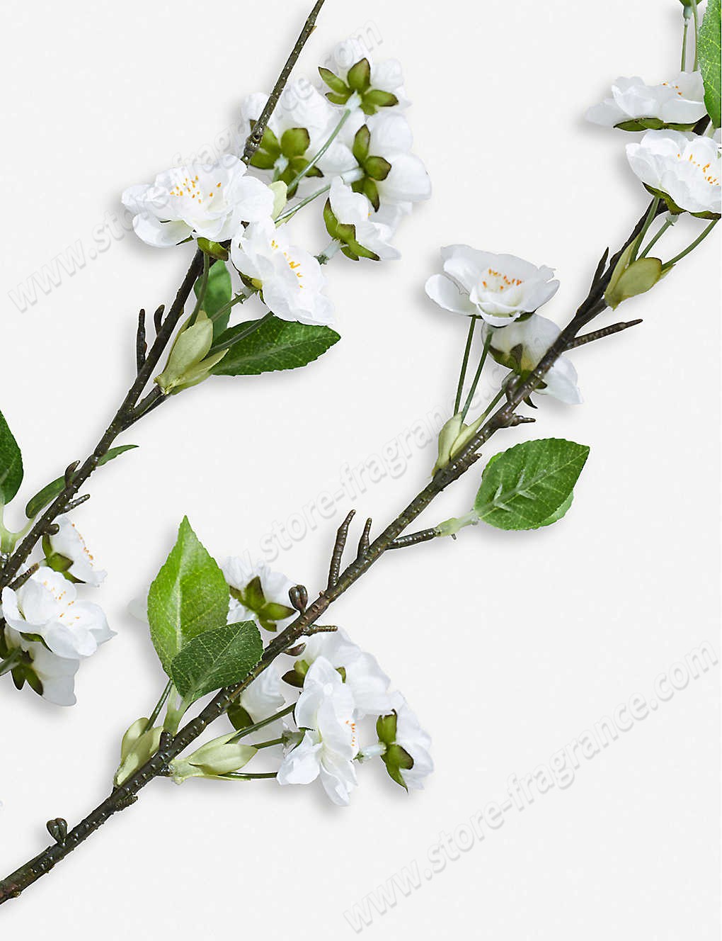 THE WHITE COMPANY/White Blossom artificial flowers Limit Offer - -1