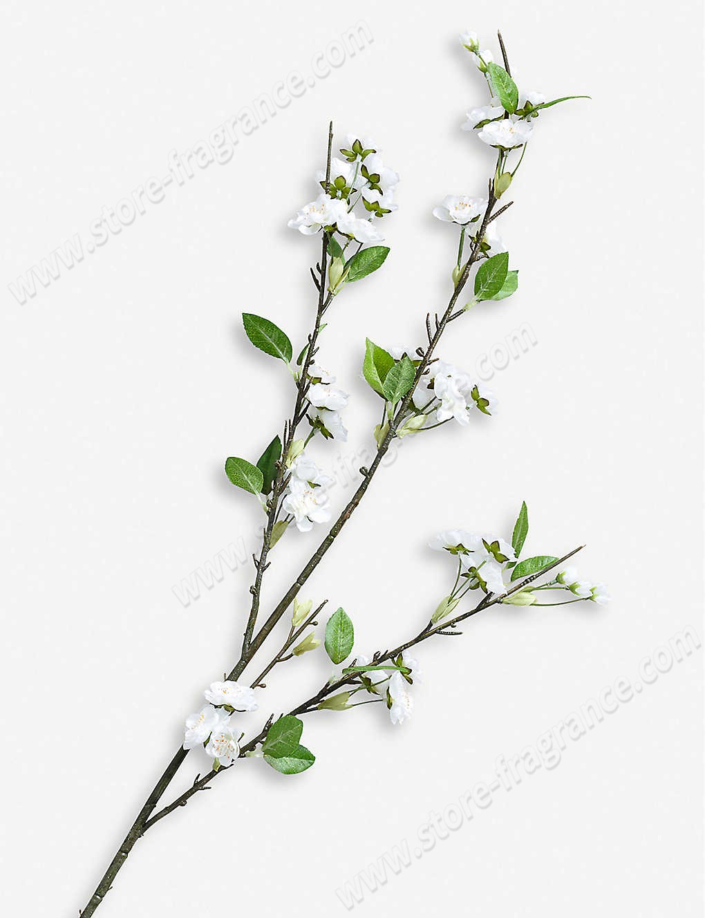 THE WHITE COMPANY/White Blossom artificial flowers Limit Offer - -0