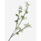THE WHITE COMPANY/White Blossom artificial flowers Limit Offer