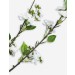 THE WHITE COMPANY/White Blossom artificial flowers Limit Offer - 1