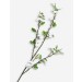 THE WHITE COMPANY/White Blossom artificial flowers Limit Offer - 0