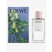 LOEWE/Ivy home fragrance 150ml ✿ Discount Store - 1