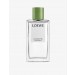 LOEWE/Luscious Pea home spray 150ml ✿ Discount Store - 0